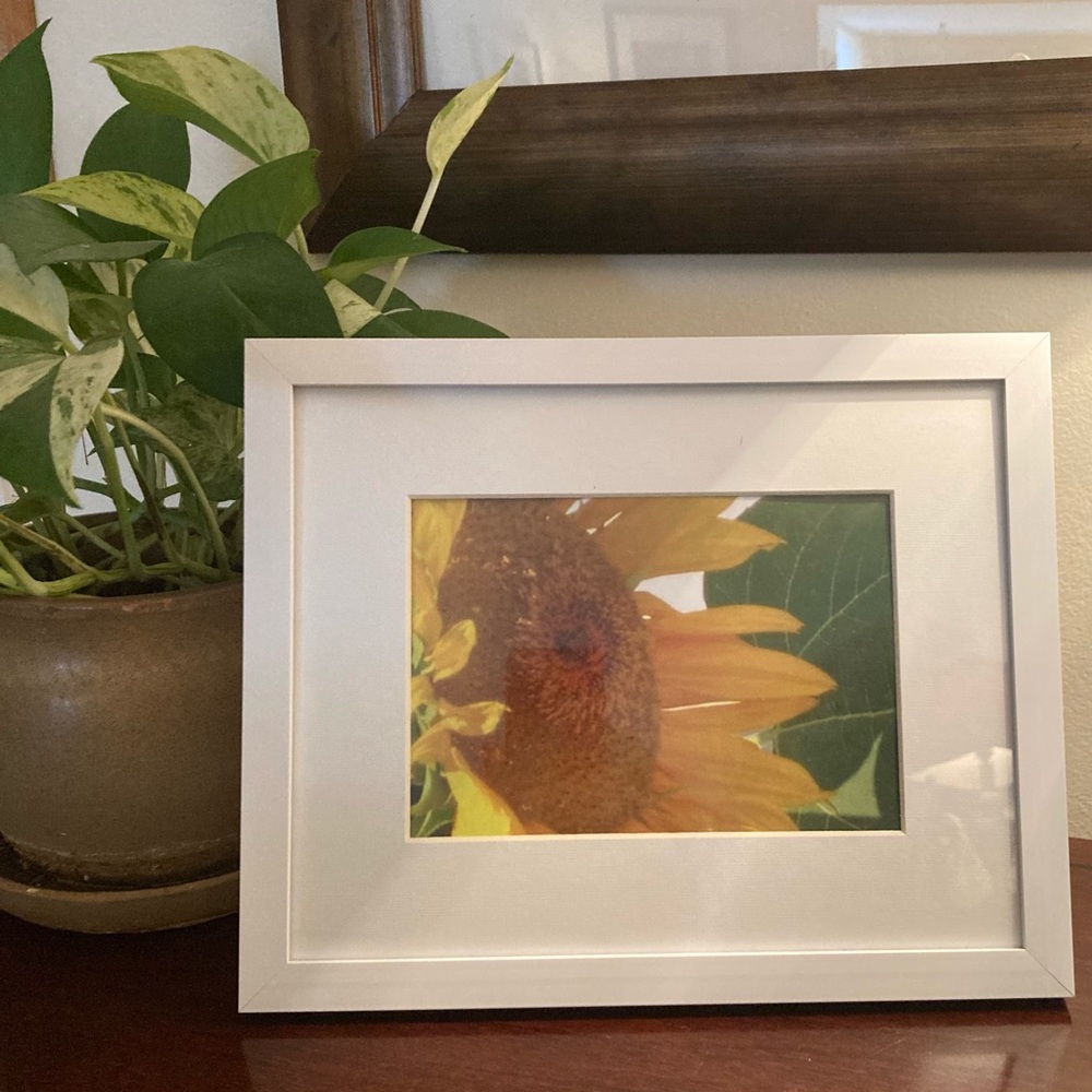 Framed Color Photograph “Happy Sunflower” Frame Matted Size 8x10 Home Decor